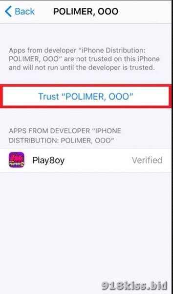 Play8oy Trust Confirmation