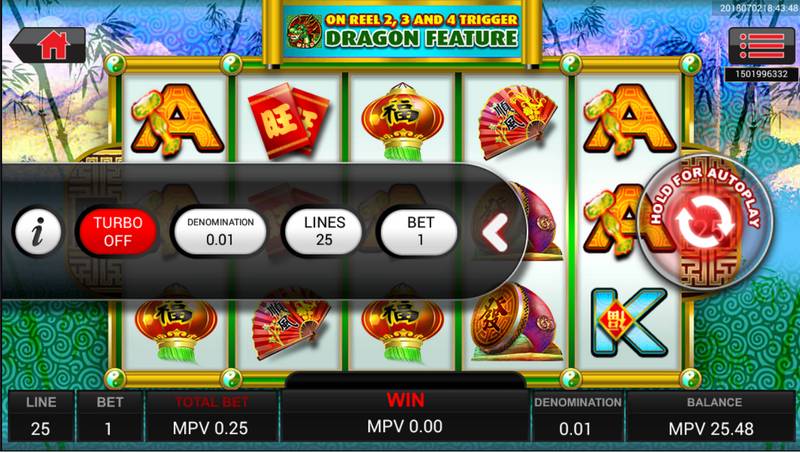 Double Fortune Slot Game Bonus Rounds