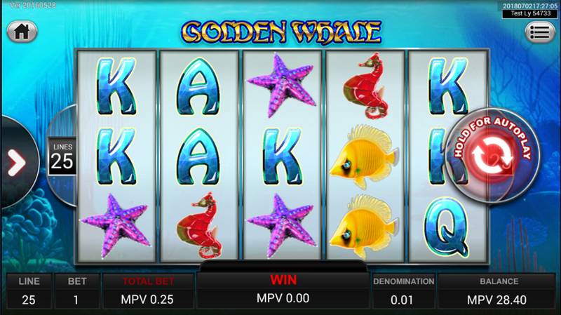 Gambling, Winning, Online Casino, Golden Whale, Jackpot