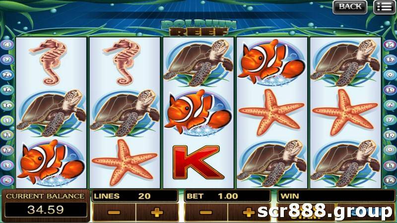 Join SCR888 for Dolphin Reef Slot