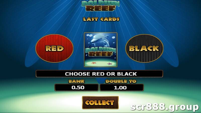 How to Play Dolphin Reef Slot