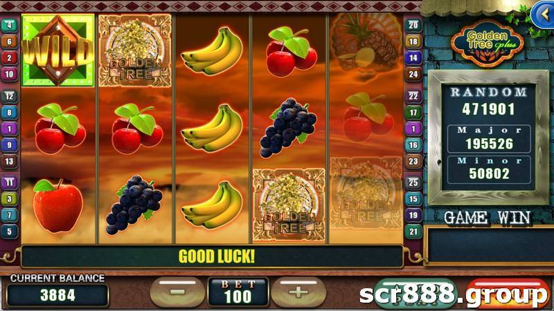 Win big with Golden Tree's triple winnings bonus